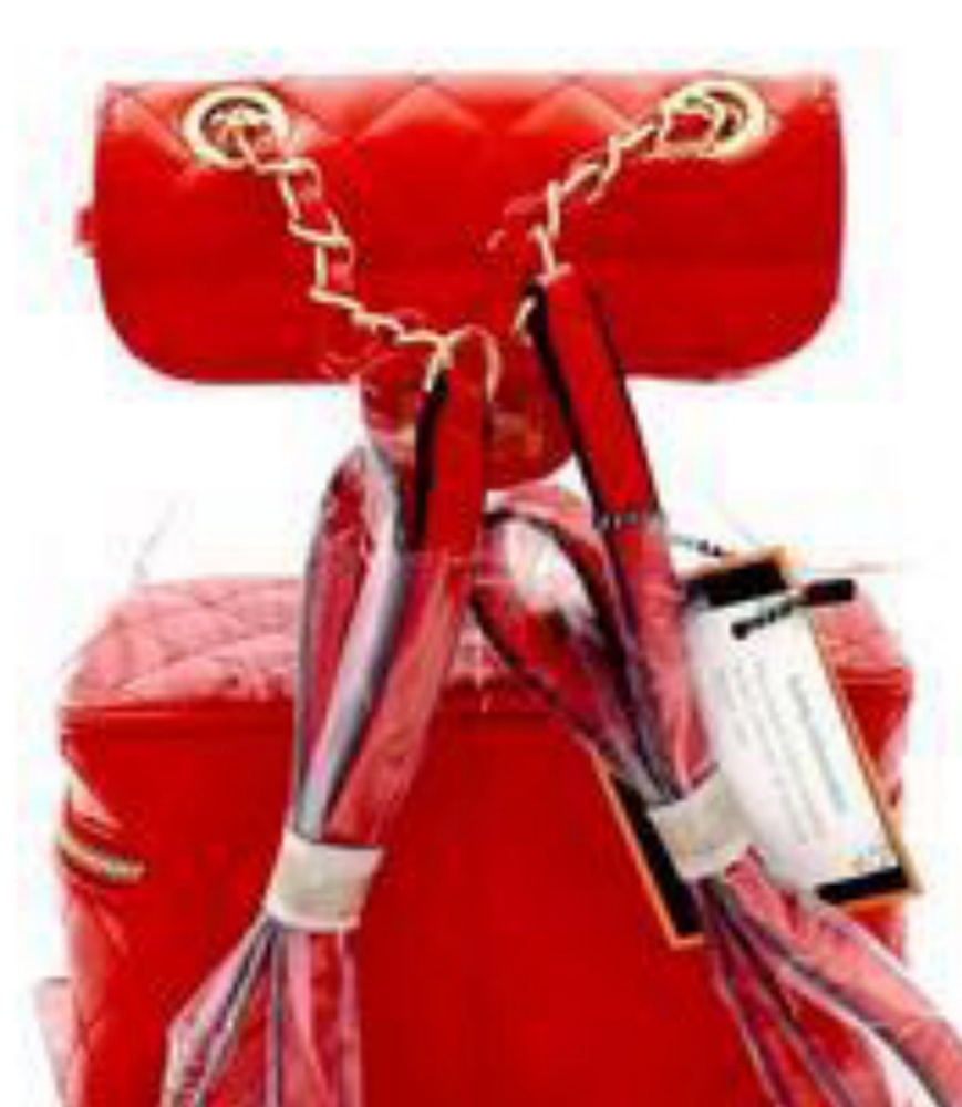 Back pack Purse - Picture 4 of 4